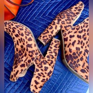 Just Fab booties. 2.5 inches. Leopard print.